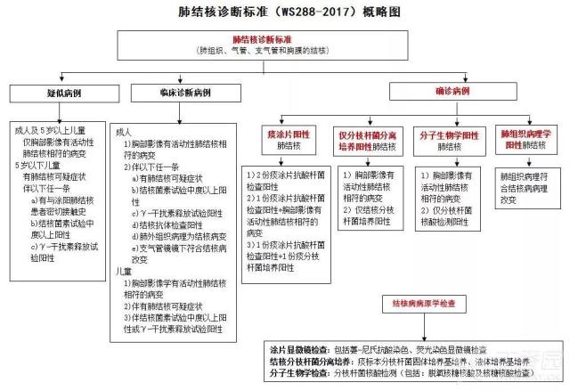 肺结核印象体现 总在肺结核印象上「翻车」？老司机带带你