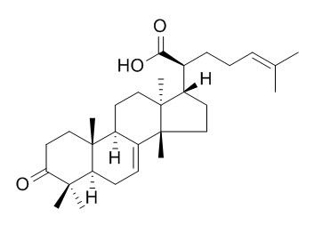 3-氧代甘遂-7,24-二烯-21-酸(82464-35-5)分析标准品,HPLC≥95%