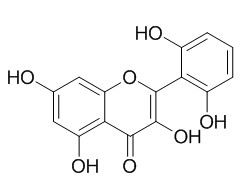 粘毛黄芩素I(92519-95-4)分析标准品,HPLC≥95%
