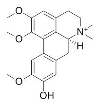 竹叶椒碱(6872-88-4)分析标准品,HPLC≥95%