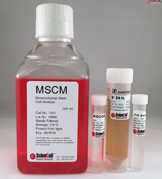 Sciencell，7531間充質干細胞-成骨細胞分化培養基，Mesenchymal Stem Cell Oseogenic Differentiation Medium，