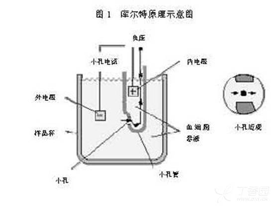 血的原理_基于C8051单片机的血糖监测仪解决方案