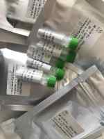 笃玛 丹酚酸C  产品简介