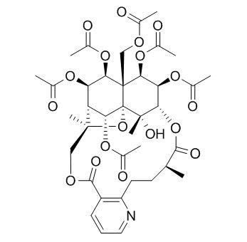 雷公藤新碱(41758-69-4)分析标准品,HPLC≥95%