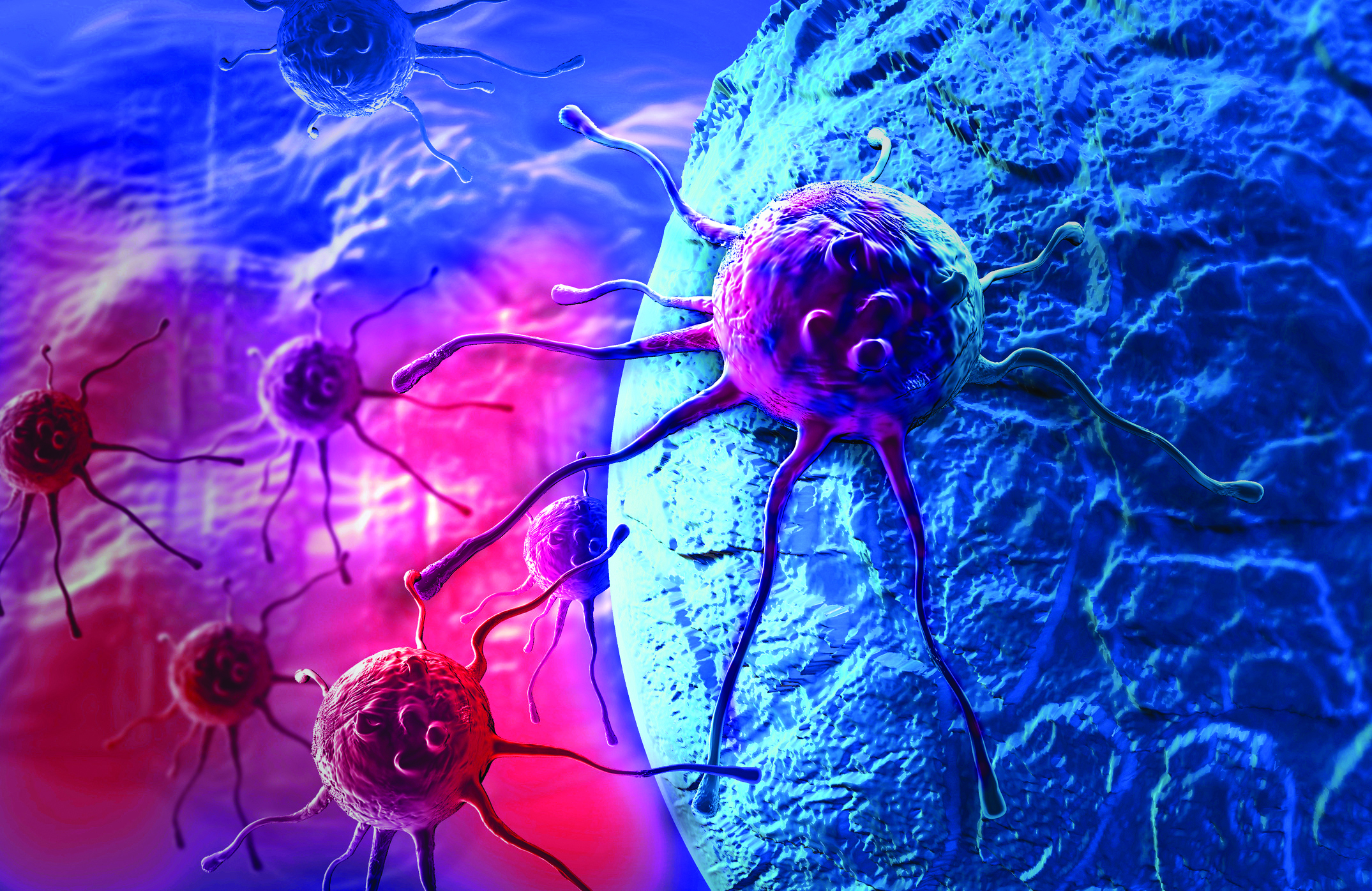 肿瘤免疫与个性化医疗——暨第二届生化工程国家重点实验室珀金埃尔默转化医学年会