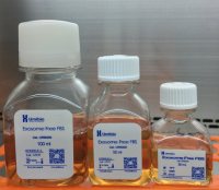 无外泌体胎牛血清