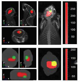 肿瘤免疫与个性化医疗——暨第二届生化工程国家重点实验室珀金埃尔默转化医学年会