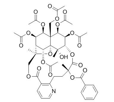 雷公藤宁碱A(345954-00-9)分析标准品,HPLC≥95%