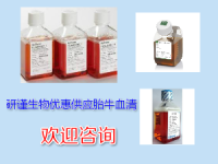 Gibco 16050-122  马血清 现货促销