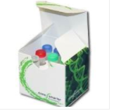 CloneSmarter小包装的无缝克隆试剂盒