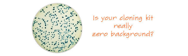 TOPO克隆载体试剂盒-末端加A片段和平末端片段均适用-Am