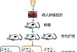 PDX 体内药敏测试简介