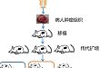 PDX 体内药敏测试简介