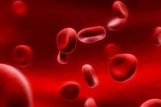 人外周血白细胞完全培养基价格