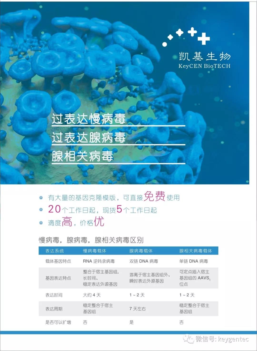 【开学季，大放价】基因过表达/沉默技术服务，了解一下？