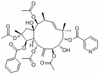 Jatrophane 5(210108-89-7)分析标准品,HPLC≥98%