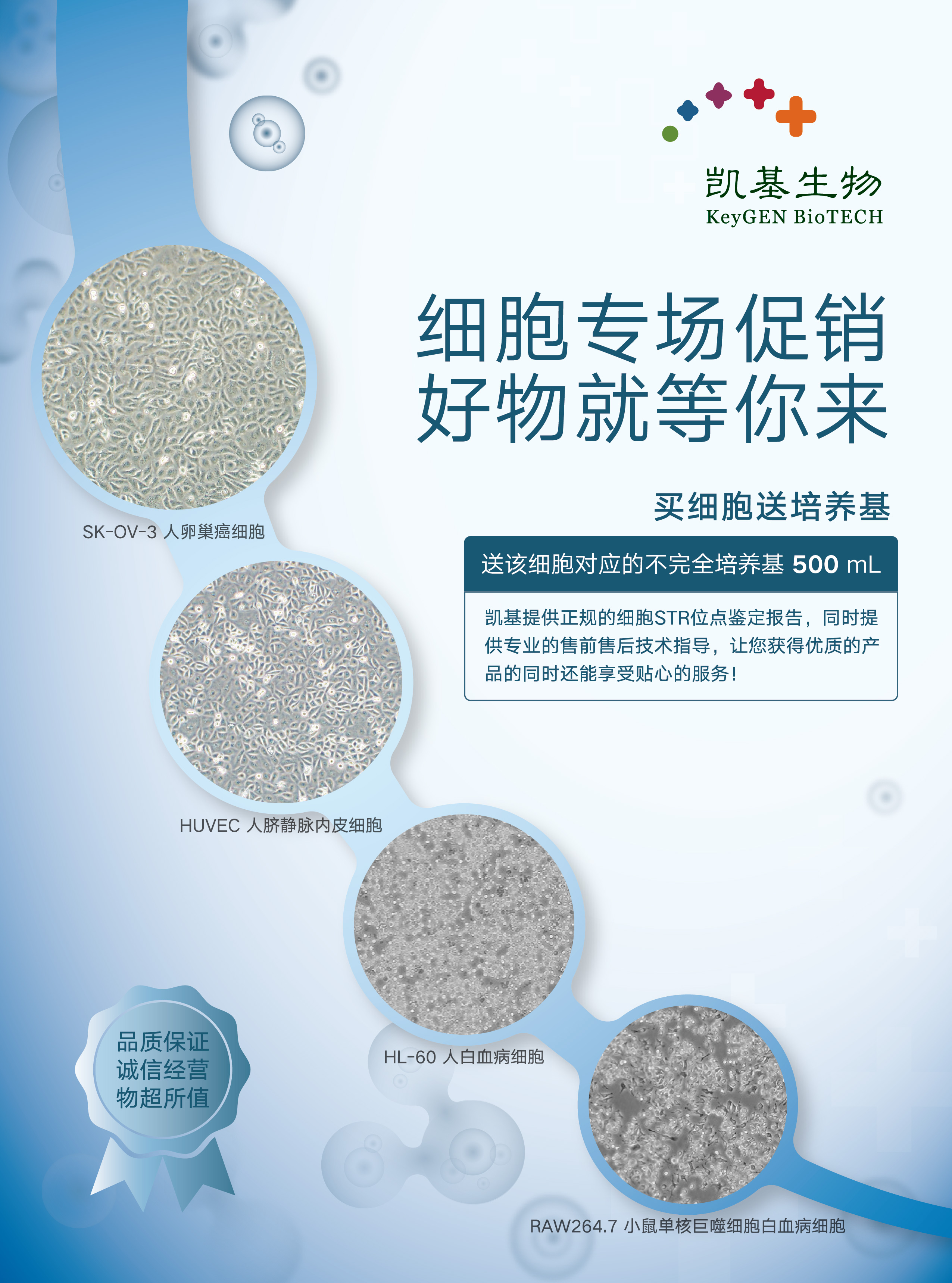 凯基科研试剂产品购买攻略，看这里！