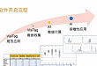 房颤射频消融步入人工智能时代  浙医四院在浙中率先启用 AI 技术