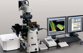 共聚焦显微技术服务