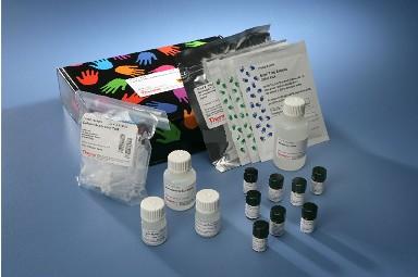 凝血因子Ⅱ试剂盒图片