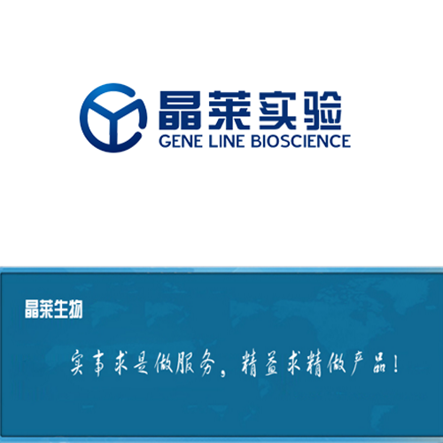 【前沿咨询】动物实验发现与肾病相关的全新病毒