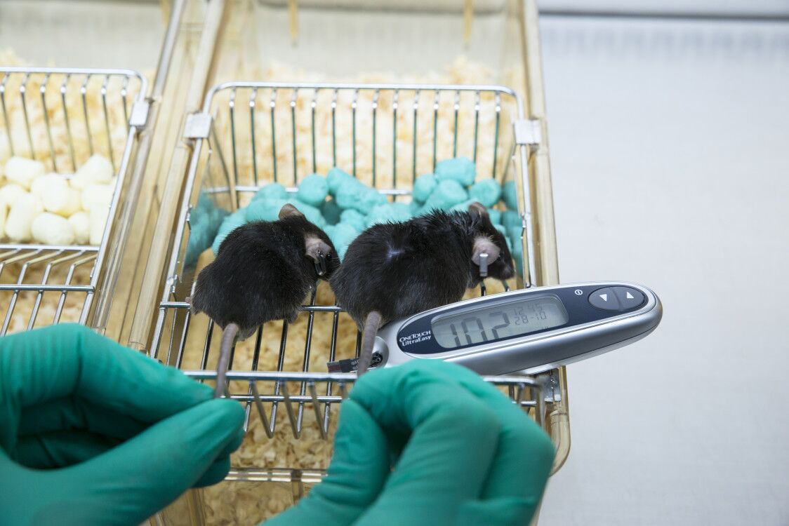 动物实验操作精进班火热报名中…