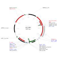 去内毒素质粒小提中量试剂盒(1-15ml菌液)