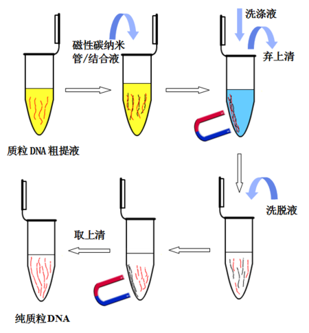 去内毒素质粒小提中量试剂盒(1-5ml菌液)