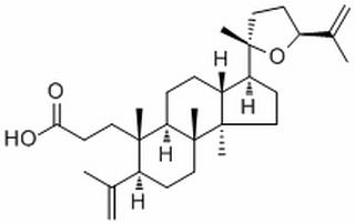 Richenoic acid(134476-74-7)分析标准品,HPLC≥98%