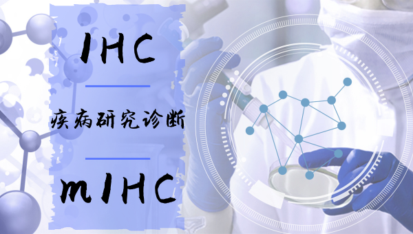 小优博士开讲了CST系列讲座第二弹：IHC和mIHC在疾病研究诊断中的方法介绍及注意事项