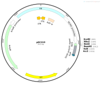 去内毒素质粒小提中量试剂盒(1-15ml菌液)