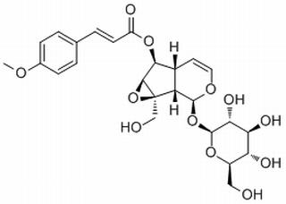 6-O-p-Methoxycinnamoylcatalpol(121710-02-9)分析标准品,HPLC≥98%