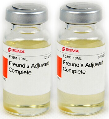 弗氏完全佐剂（美国SIGMA）