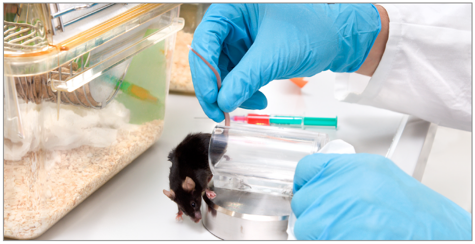 Promethion小动物代谢测量分析系统