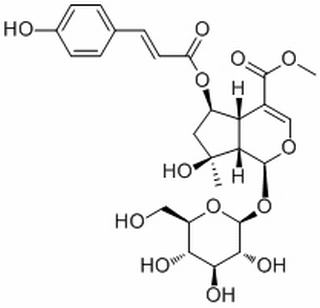 6-O-trans-p-Coumaroylshanzhiside methyl ester(1246012-26-9)分析标准品,HPLC≥98%