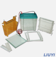 北京六一双垂直电泳仪(注塑) DYCZ-24F