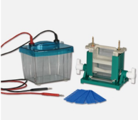 北京六一双垂直电泳仪（注塑） DYCZ-25D