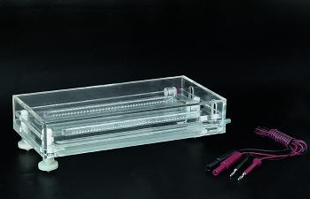 北京六一等电聚焦电泳仪 DYCP-36