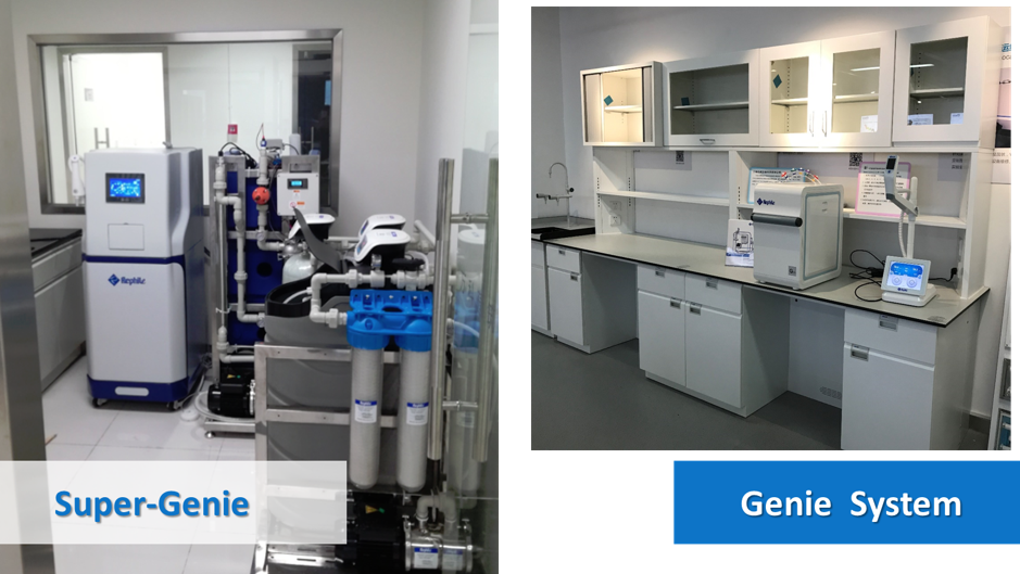 2018乐枫全球经销商培训9月完美落幕