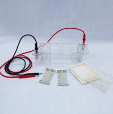 北京六一琼脂糖水平电泳仪（注） DYCP-31CN