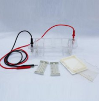 北京六一琼脂糖水平电泳仪（注） DYCP-31CN