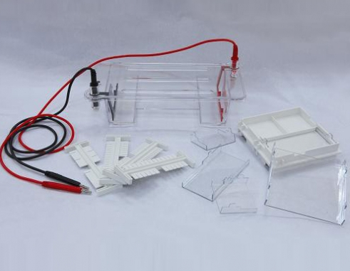 北京六一琼脂糖水平电泳仪（注） DYCP-31DN