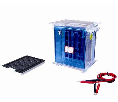 北京六一转移电泳仪（大号） DYCZ-40A