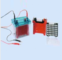 北京六一转移芯(注塑) 配件 DYCZ-40D