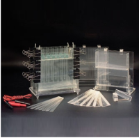 北京六一多用途电泳仪 DYCZ-21