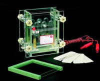 北京六一夹芯式垂直电泳仪（大） DYCZ-28B