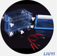 北京六一双板夹心式垂直电泳仪 DYCZ-30C