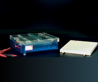 北京六一等电聚焦多用途电泳仪 DYCP-37B