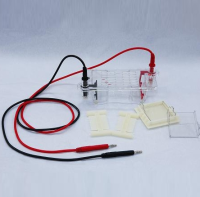 北京六一迷你琼脂糖电泳仪（注） DYCP-31BN