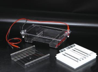 北京六一琼脂糖水平电泳仪（中） DYCP-31E